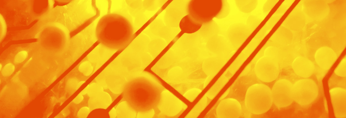 select life sciences Life sciences products